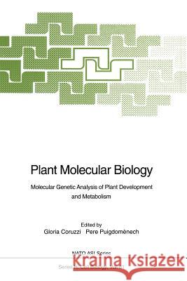 Plant Molecular Biology: Molecular Genetic Analysis of Plant Development and Metabolism Coruzzi, Gloria 9783642788543 Springer