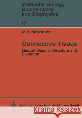 Connective Tissue: Macromolecular Structure and Evolution Mathews, M. B. 9783642809064 Springer