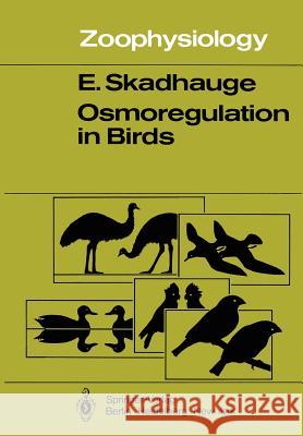 Osmoregulation in Birds E. Skadhauge 9783642815874 Springer