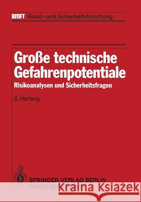 Große technische Gefahrenpotentiale: Risikoanalysen und Sicherheitsfragen S. Hartwig 9783642819001 Springer-Verlag Berlin and Heidelberg GmbH & 