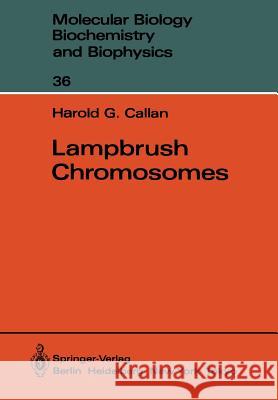 Lampbrush Chromosomes Harold G Harold G. Callan 9783642827945 Springer
