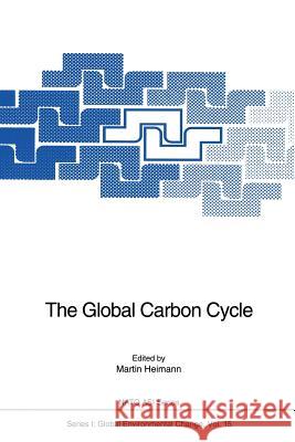 The Global Carbon Cycle Martin Heimann 9783642846106 Springer