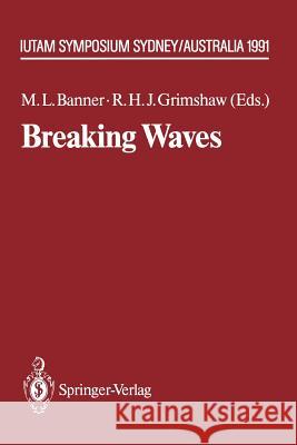 Breaking Waves: Iutam Symposium Sydney, Australia 1991 Banner, Michael L. 9783642848490 Springer