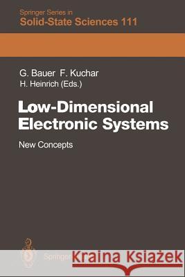 Low-Dimensional Electronic Systems: New Concepts Neubauer, Guenther 9783642848599