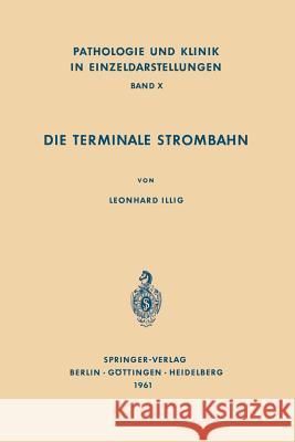 Die Terminale Strombahn: Capillarbett Und Mikrozirkulation Illig, L. 9783642863790 Springer