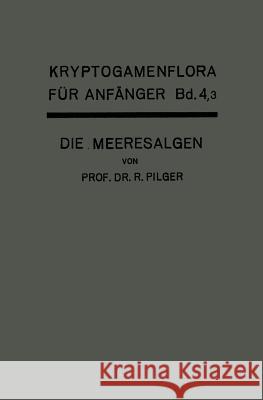 Die Algen: Dritte Abteilung Die Meeresalgen Robert Pilger Gustav Lindau 9783642890680 Springer