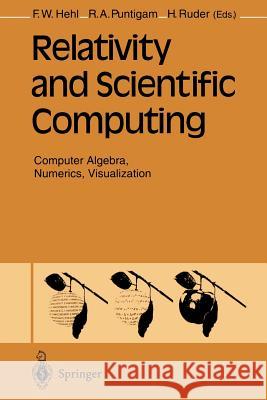 Relativity and Scientific Computing: Computer Algebra, Numerics, Visualization Hehl, Friedrich W. 9783642957345 Springer