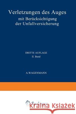 Verletzungen Des Auges: Mit Berücksichtigung Der Unfallversicherung Wagenmann, A. 9783642981562 Springer