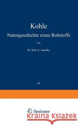 Kohle: Naturgeschichte Eines Rohstoffs Jurasky, Karl a. 9783642985218 Springer