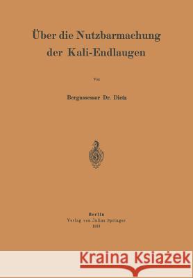 Über Die Nutzbarmachung Der Kali-Endlaugen Dietz, Na 9783642987229 Springer