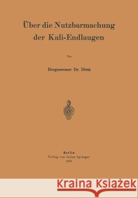 Über Die Nutzbarmachung Der Kali-Endlaugen Dietz, Na 9783642987229