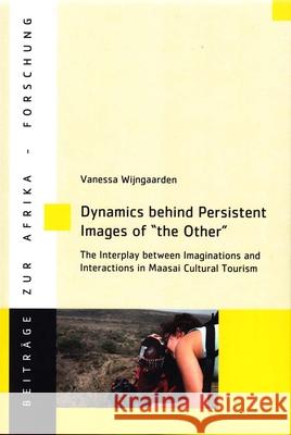 Dynamics Behind Persistent Images of 