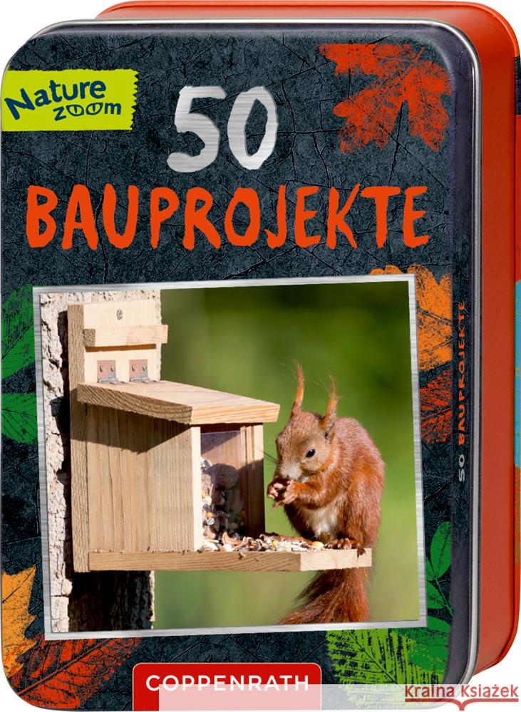 50 Bauprojekte Wernsing, Barbara 9783649638865 Coppenrath, Münster