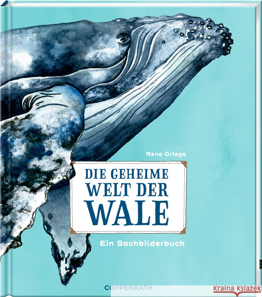 Die geheime Welt der Wale Ortega, Rena 9783649644255