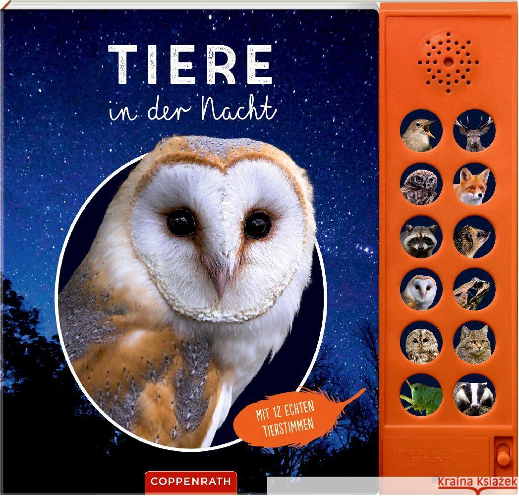 Tiere in der Nacht Baier, Katja 9783649645207