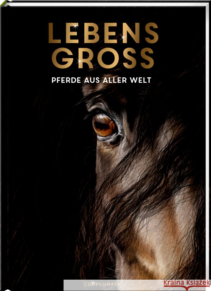 Lebensgroß Niessen, Susan 9783649646495