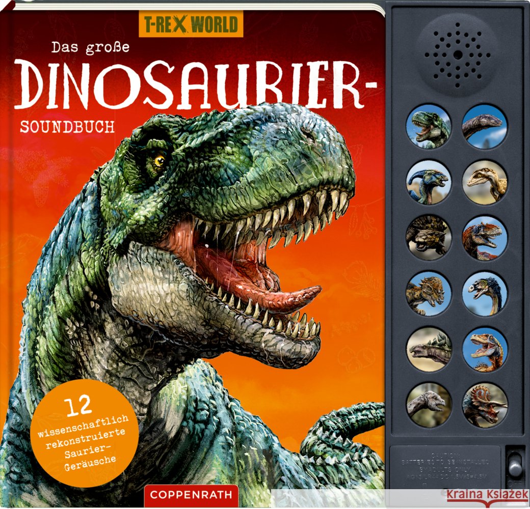 Das große Dinosaurier-Soundbuch Wernsing, Barbara 9783649647775 Coppenrath, Münster