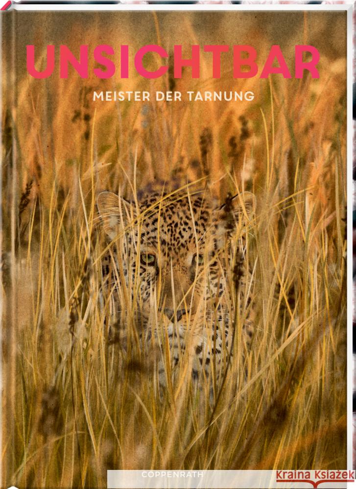 Unsichtbar Haag, Holger 9783649647997