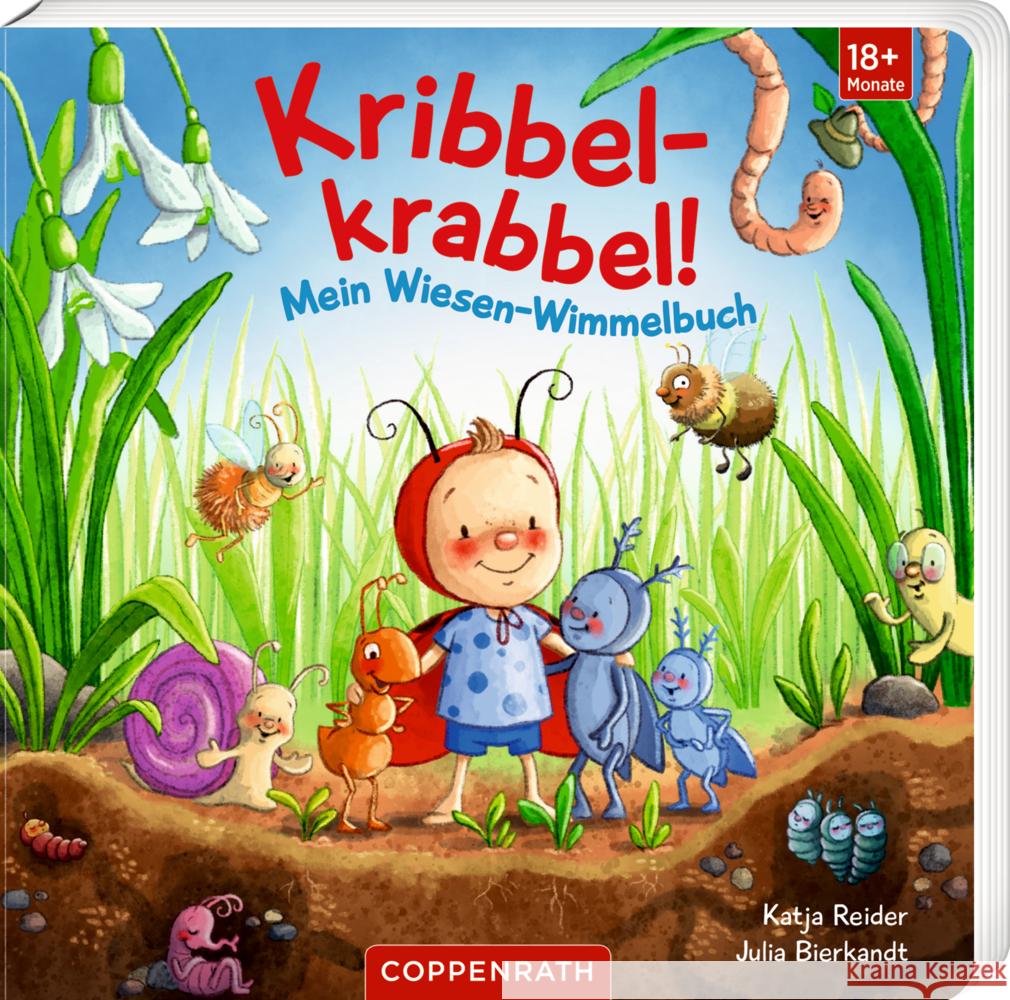 Kribbelkrabbel! Reider, Katja 9783649649519