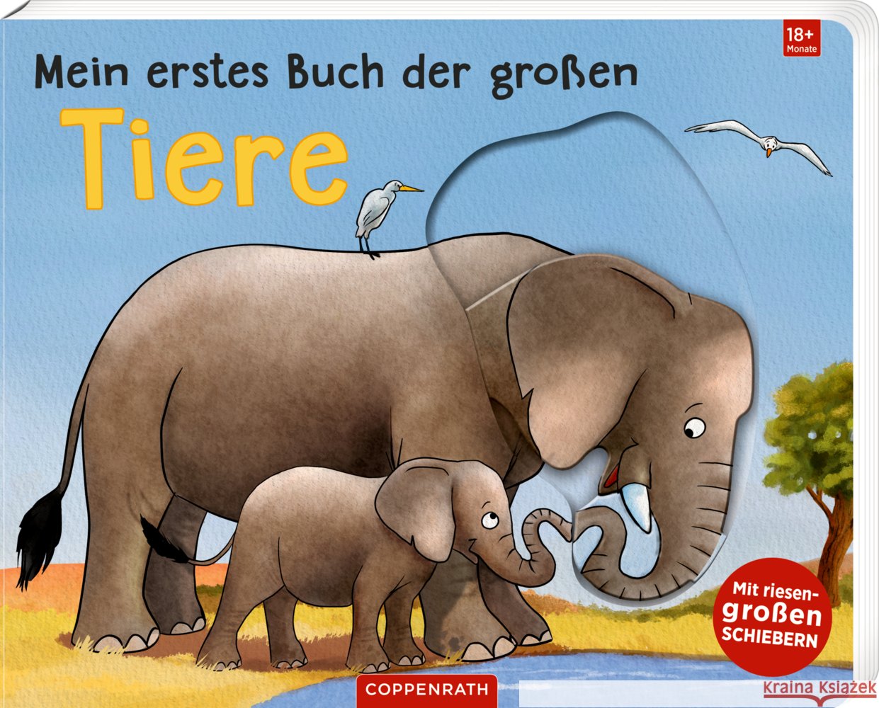 Mein erstes Buch der großen Tiere Grimm, Sandra 9783649651994 Coppenrath, Münster