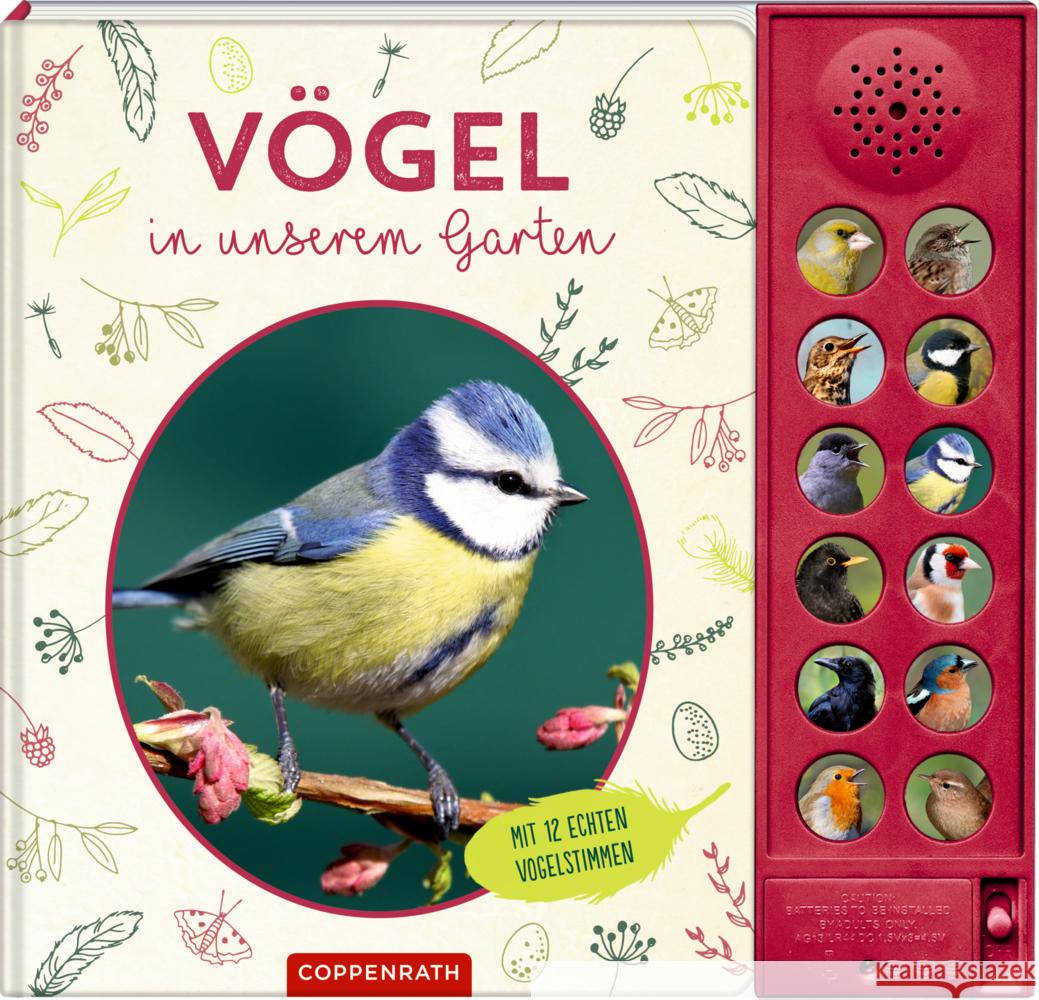 Vögel in unserem Garten Haag, Holger 9783649652199
