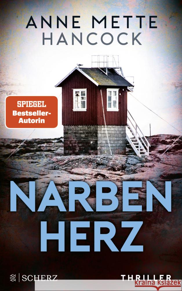 Narbenherz Hancock, Anne Mette 9783651000940