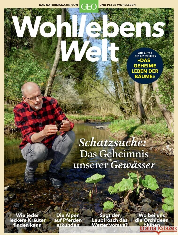 Wohllebens Welt / Wohllebens Welt 6/2020 - Schatzsuche: Das Geheimnis unserer Gewässer. Nr.2/2020 Wohlleben, Peter 9783652009317 Gruner & Jahr