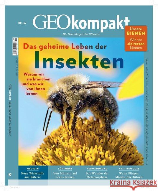 GEOkompakt / GEOkompakt 62/2020 - Das geheime Leben der Insekten Schröder, Jens, Wolff, Markus 9783652009607