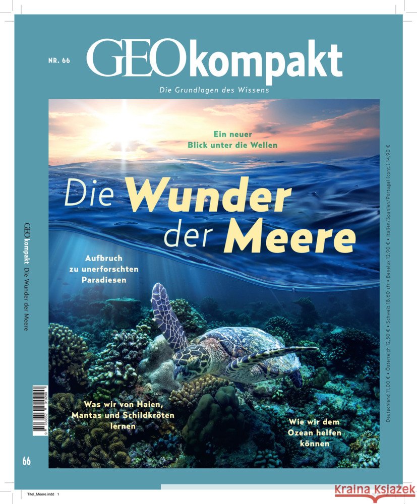 GEOkompakt / GEOkompakt 66/2021 - Die Wunder der Meere Schröder, Jens, Wolff, Markus 9783652010290 Gruner & Jahr