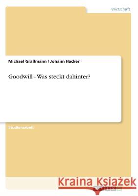 Goodwill - Was steckt dahinter? Michael Grassmann Johann Hacker 9783656011897 Grin Verlag