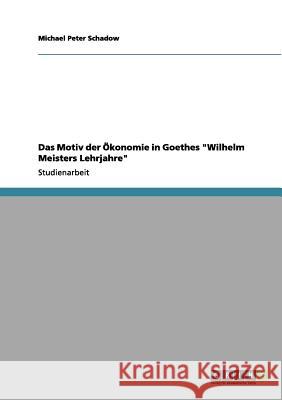 Das Motiv der Ökonomie in Goethes Wilhelm Meisters Lehrjahre Schadow, Michael Peter 9783656067498 Grin Verlag