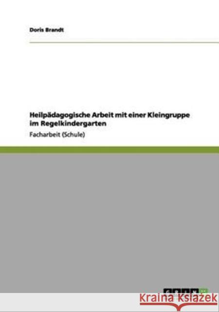 Heilpädagogische Arbeit mit einer Kleingruppe im Regelkindergarten Brandt, Doris 9783656091356 Grin Verlag
