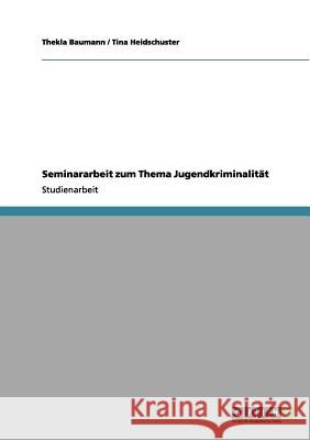 Seminararbeit zum Thema Jugendkriminalität Baumann, Thekla 9783656105763 Grin Verlag