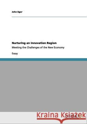 Nurturing an Innovation Region: Meeting the Challenges of the New Economy Eger, John 9783656138518 Grin Verlag