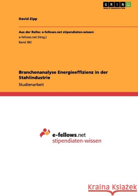 Branchenanalyse Energieeffizienz in der Stahlindustrie David Zipp 9783656139614 Grin Verlag