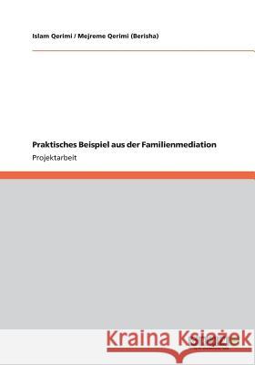 Praktisches Beispiel aus der Familienmediation Islam Qerimi Mejreme Qerim 9783656146247 Grin Verlag