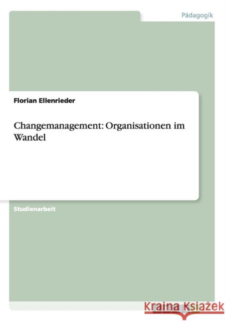 Changemanagement: Organisationen im Wandel Ellenrieder, Florian 9783656247159 Grin Verlag