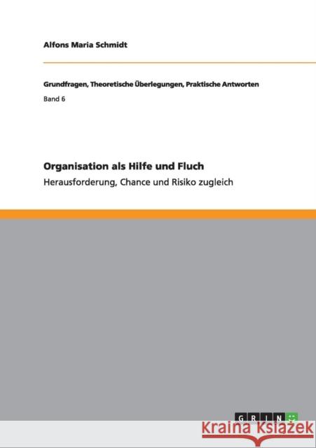 Organisation als Hilfe und Fluch: Herausforderung, Chance und Risiko zugleich Schmidt, Alfons Maria 9783656379102