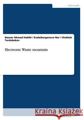 Electronic Waste mountain Naseer Ahmad Habibi Kudaibergenova Nur Ulukbek Urdubekov 9783656398813