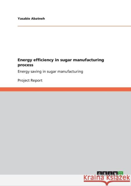 Energy efficiency in sugar manufacturing process: Energy saving in sugar manufacturing Abatneh, Yasabie 9783656414957 Grin Verlag Gmbh