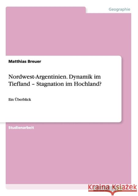 Nordwest-Argentinien. Dynamik im Tiefland - Stagnation im Hochland?: Ein Überblick Breuer, Matthias 9783656434252