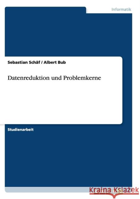 Datenreduktion und Problemkerne Sebastian Schaf Albert Bub 9783656438120 Grin Verlag