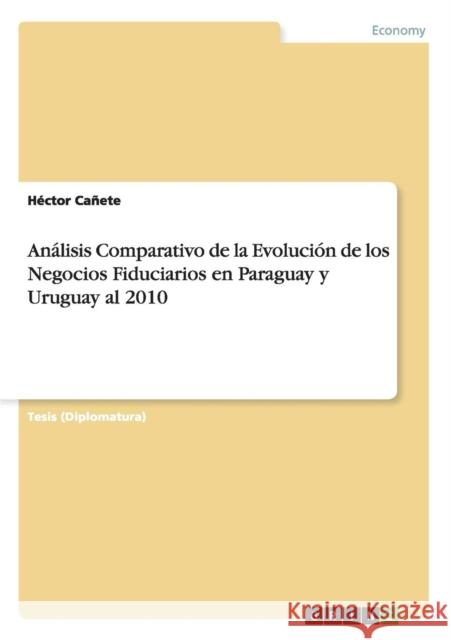 Análisis Comparativo de la Evolución de los Negocios Fiduciarios en Paraguay y Uruguay al 2010 Cañete, Héctor 9783656467014 Grin Verlag
