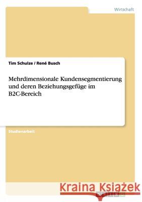 Mehrdimensionale Kundensegmentierung und deren Beziehungsgefüge im B2C-Bereich Schulze, Tim 9783656474166 Grin Verlag