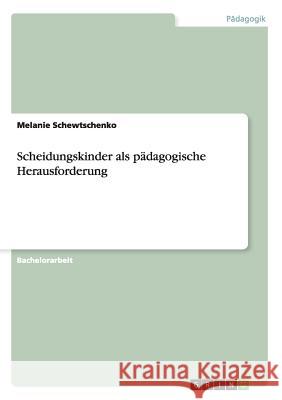 Scheidungskinder als pädagogische Herausforderung Schewtschenko, Melanie 9783656533979 Grin Verlag