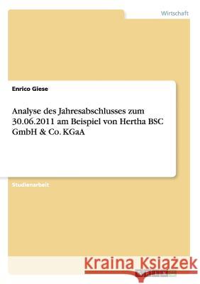 Analyse des Jahresabschlusses zum 30.06.2011 am Beispiel von Hertha BSC GmbH & Co. KGaA Enrico Giese 9783656582793 Grin Verlag Gmbh