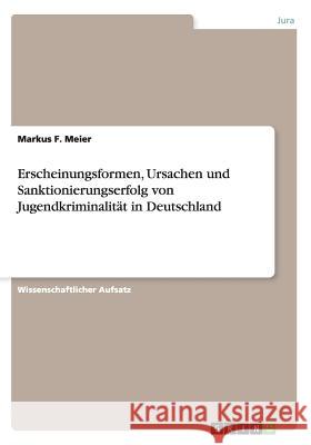 Erscheinungsformen, Ursachen und Sanktionierungserfolg von Jugendkriminalität in Deutschland Markus F. Meier 9783656598800 Grin Verlag Gmbh
