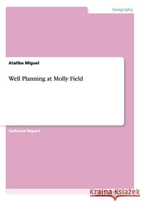 Well Planning at Molly Field Ataliba Miguel 9783656713012 Grin Verlag Gmbh