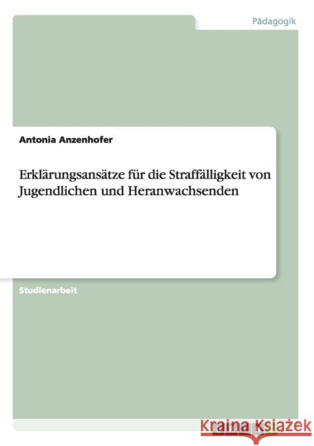 Erklärungsansätze für die Straffälligkeit von Jugendlichen und Heranwachsenden Anzenhofer, Antonia 9783656762188 Grin Verlag Gmbh