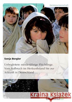 Unbegleitete minderjährige Flüchtlinge. Vom Aufbruch im Herkunftsland bis zur Ankunft in Deutschland Sonja Bergler 9783656947981